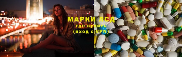 шишки Михайловск