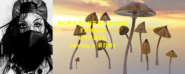 ешки Михайловка