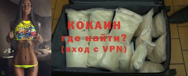 шишки Михайловск