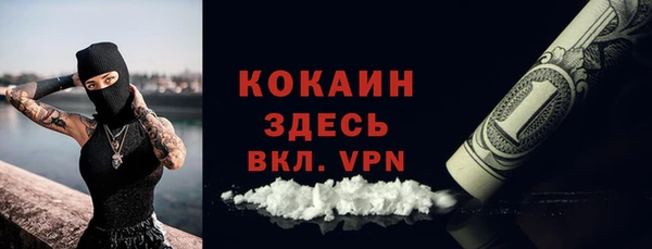 шишки Михайловск
