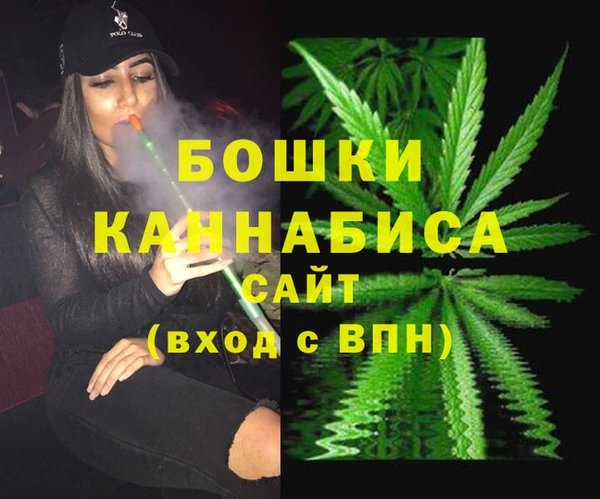 шишки Михайловск