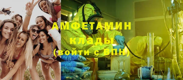 шишки Михайловск