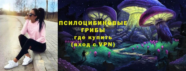 шишки Михайловск