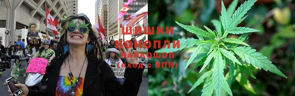 шишки Михайловск
