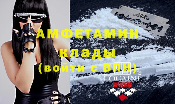 шишки Михайловск
