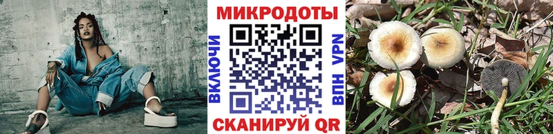 Псилоцибиновые грибы Magic Shrooms Новосибирск